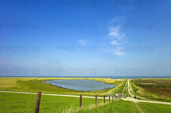 Salt marshes and beach at Schillig