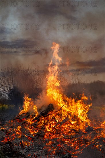 Fire