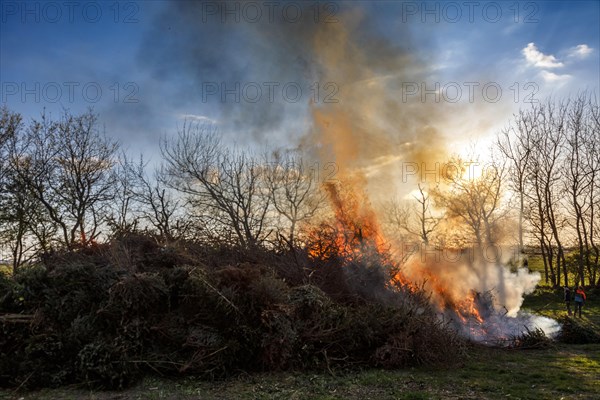 May fire
