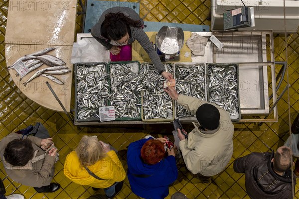 Birds eye colour photo of a stall full of sardines with the seller and a buyer
