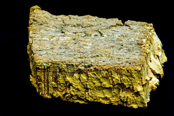 Cork bark