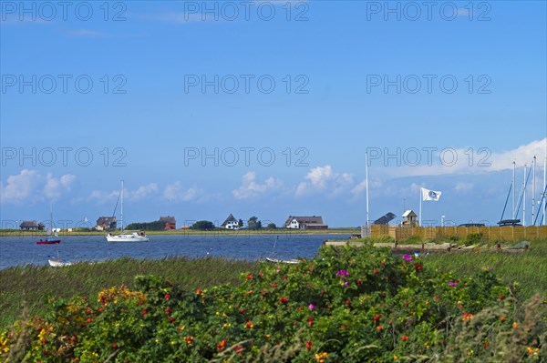 Approach to the harbour with a view of Graswarder