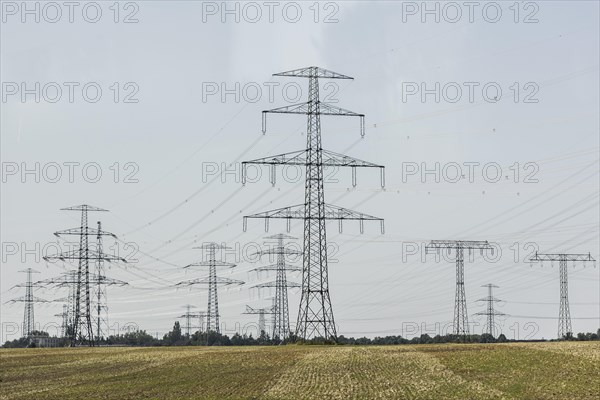 Electricity pylons