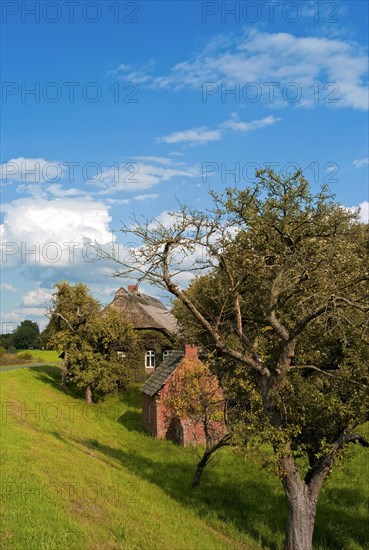 Farmhouse with apple tree and bread baking house in Werderland
