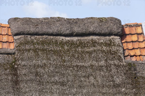 Thatched roof