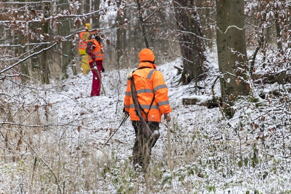 Driven hunt in Schoenbuch Nature Park