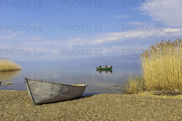 Lake Ohrid near Piskupat with rowing boat and reeds