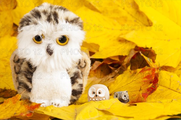 Owls Figures on Autumn Leaves