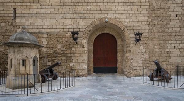 Entrance gate with cannons on the fortress wall