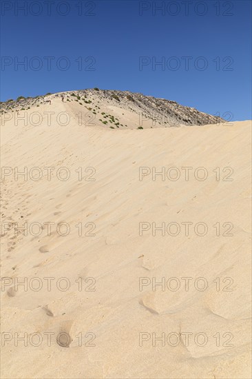 Dune Landscape