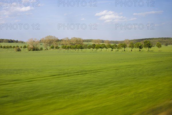 Landscape in central Germany. View from a moving train onto meadows and trees