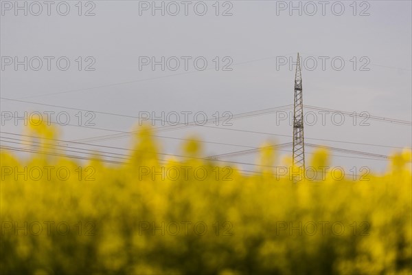 Electricity pylons looming in a landscape near Glasewitz