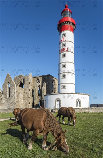 The Pointe Saint Mathieu with its lighthouse and abbey ruins at Plougonvelin