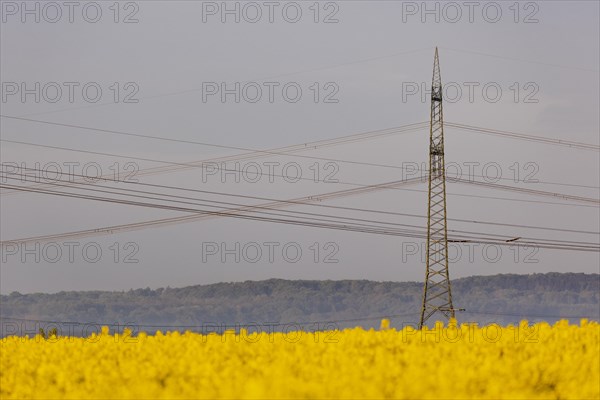 Electricity pylons looming in a landscape near Glasewitz