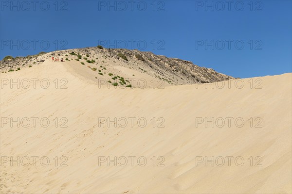 Dune Landscape