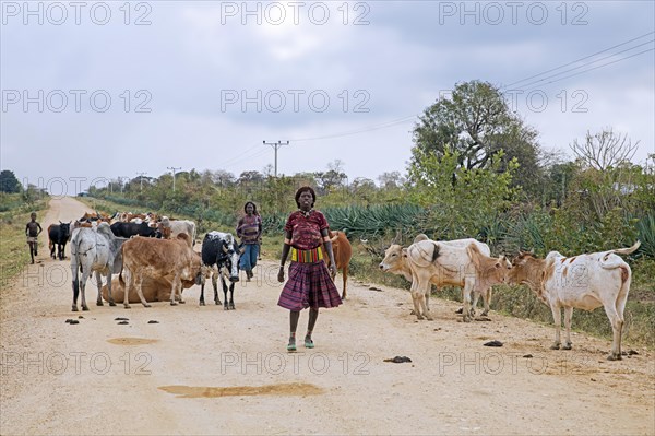 Two black women of the Banna