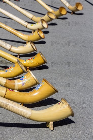 Concert with traditional alphorn instruments