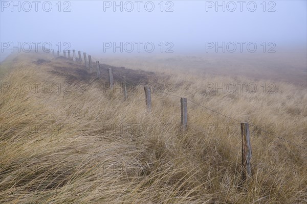Fence in the dune landscape