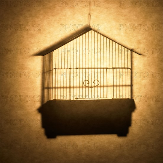 Birdcage