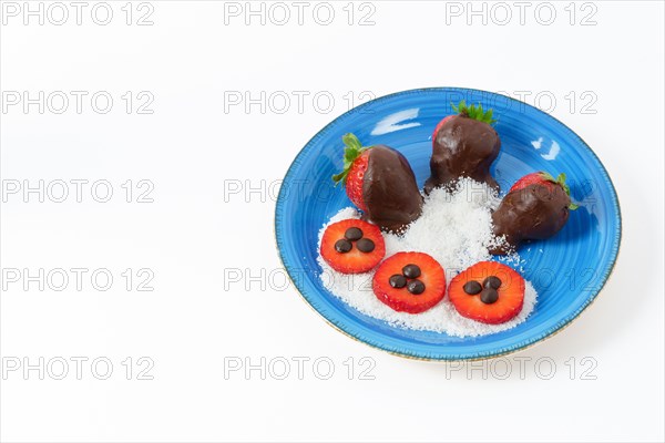 Strawberries covered with melted chocolate with coconut on a blue plate isolated on white background