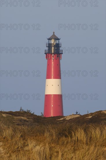 Lighthouse