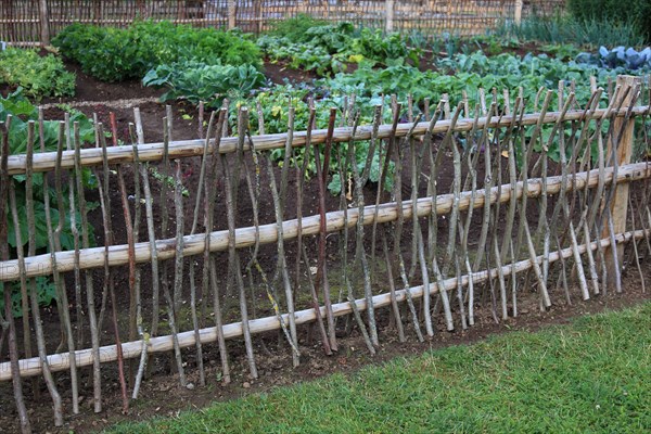 Cottage garden with wattle fence made of branches and twigs