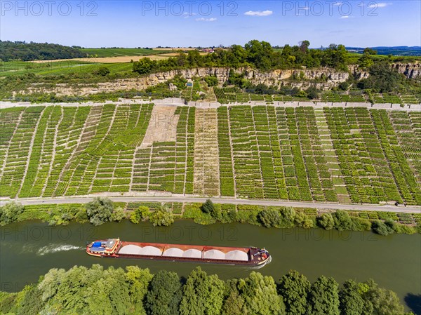 Hessigheim rock gardens with barge on the Neckar