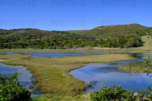 Inner Lagoon