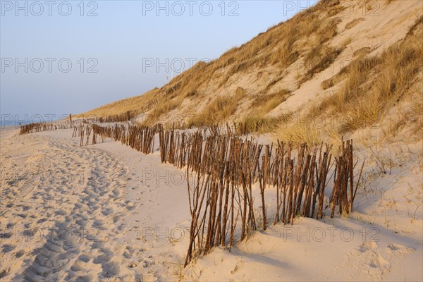 Sticks as a protective fence in front of the dunes