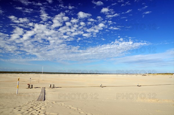 Wide deserted beach Vrouwenpolder