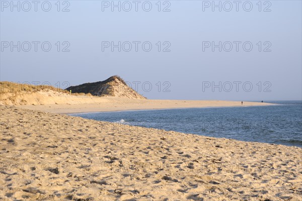 Dune and sandy beach