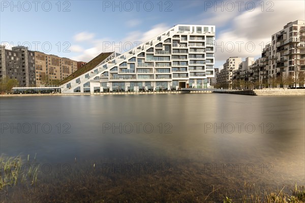 Residential project 8 House