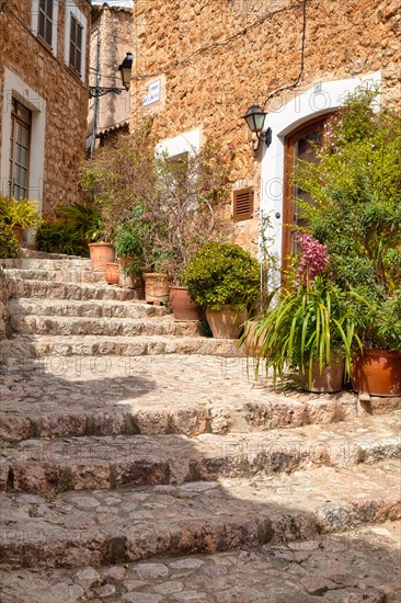 Flower pots in alley with typical stone houses