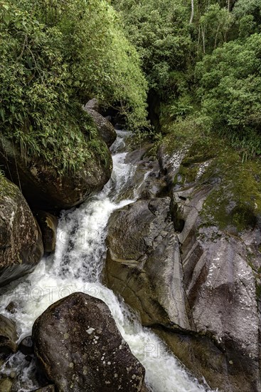 Small cascade between the rocks and the natural vegetation of the brazilian rainforest in Itatiaia