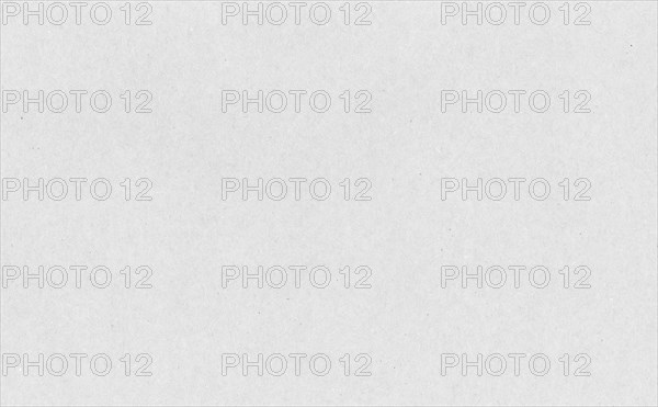 White paper texture background