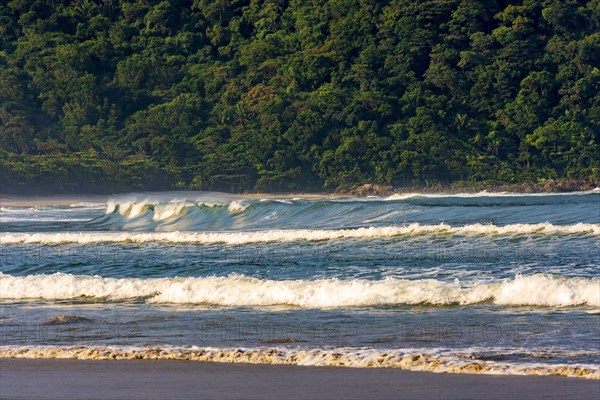 Untouched rainforest and hills behind the waves at desert Praia Branca