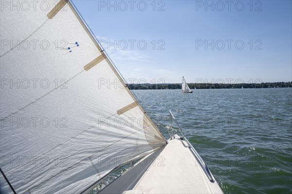 Bow of the sailboat with sail while sailing