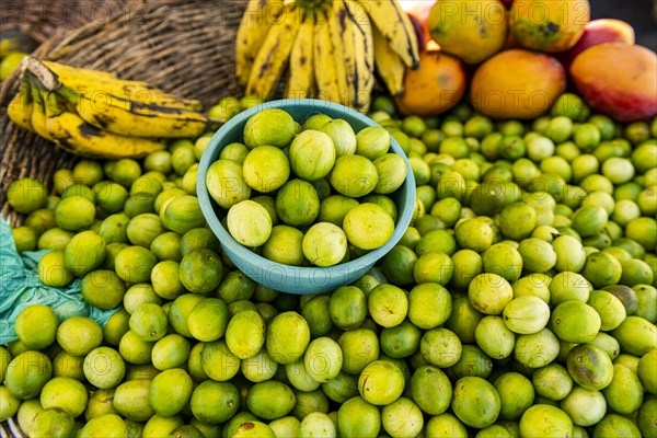 Fresh lemons