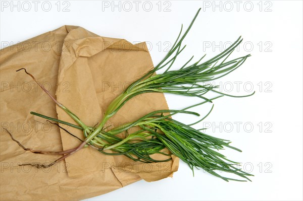 Monk's beard