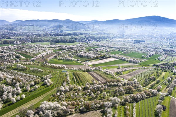 Spring in the Renchtal in the Ortenau
