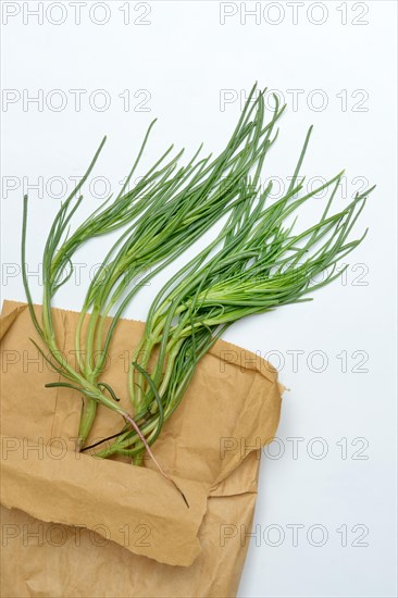 Monk's beard