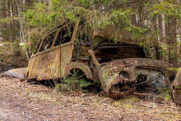 Car graveyard in the middle of the forest near Ryd