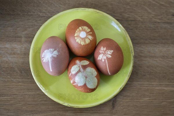 Four Easter eggs coloured with onion skins and flowers on a plate