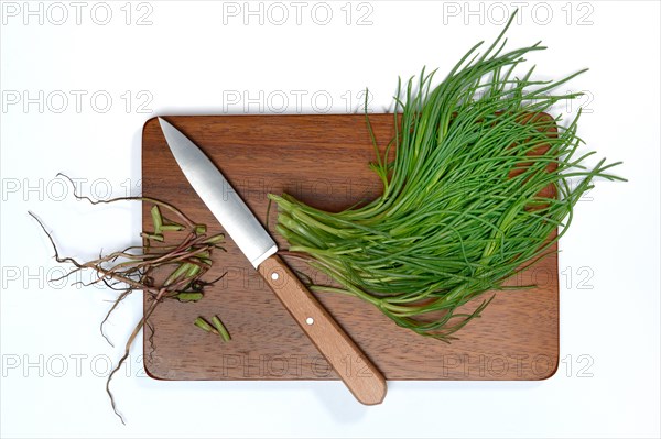 Monk's beard with knife on wooden board