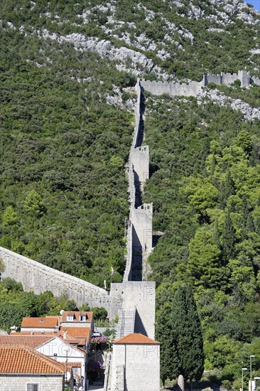 Fortress wall