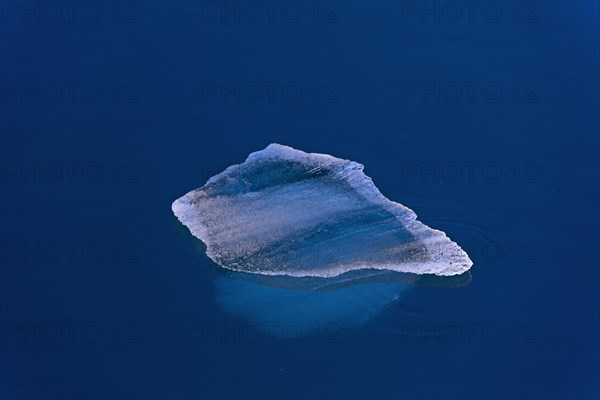 Melting ice floe drifting in Polar ocean