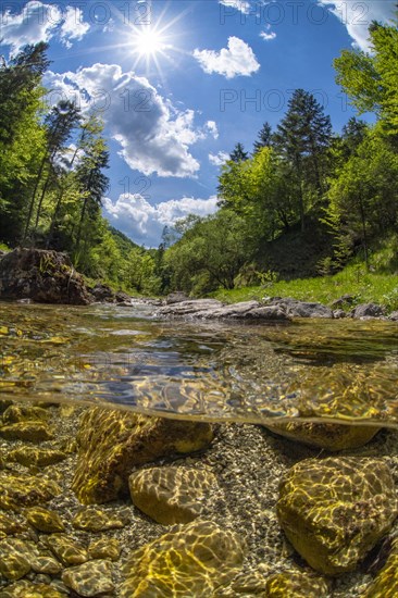 Underwater photo in a mountain stream in the Kalkalpen National Park