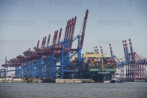Container ship