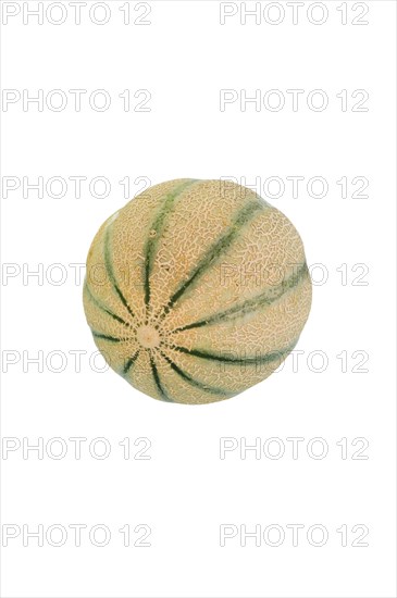 Cantaloupe melon or Charentais melon