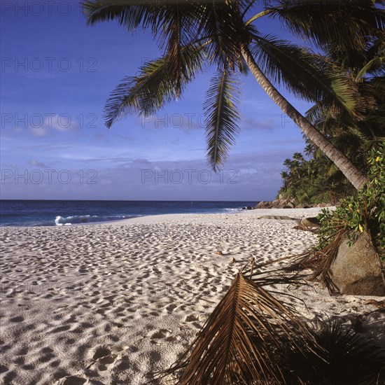 Weisser Traumstrand Anse Victorin